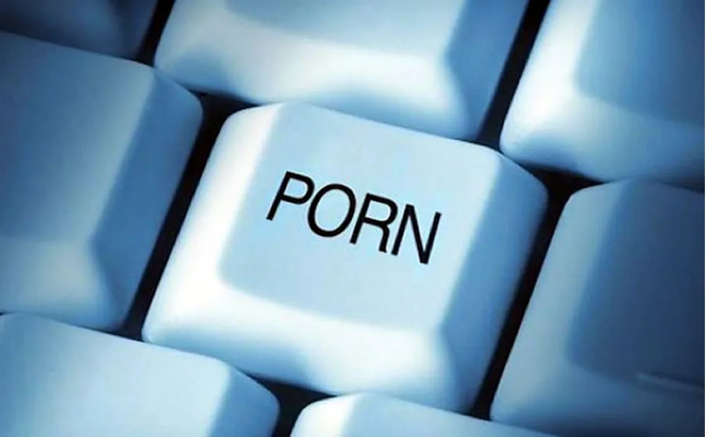 Respuesta de la industria del porno